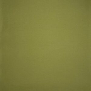 Moss Cotton Chino - Trousers